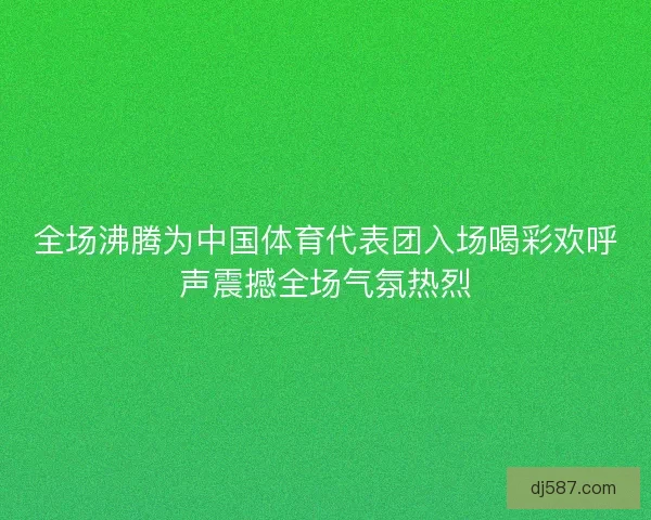 全场沸腾为中国体育代表团入场喝彩欢呼声震撼全场气氛热烈